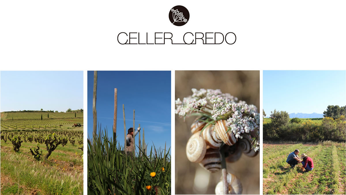Celler Credo Winery
